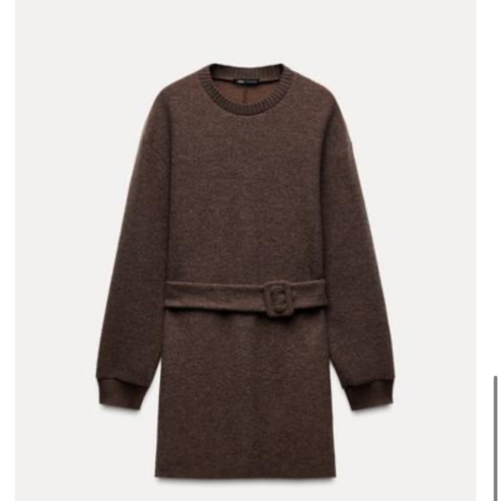 Zara Brown Knit Dress